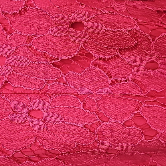 DB Established in 1962 Lace and Embroidered Flower Dress sz 8 - Picture 7 of 7